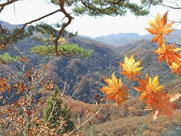 路山村民委员会天气预报更新通知