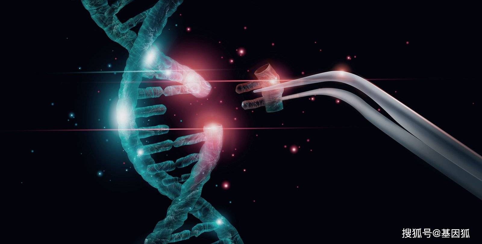 基因编辑技术的新突破引领生命科学新纪元