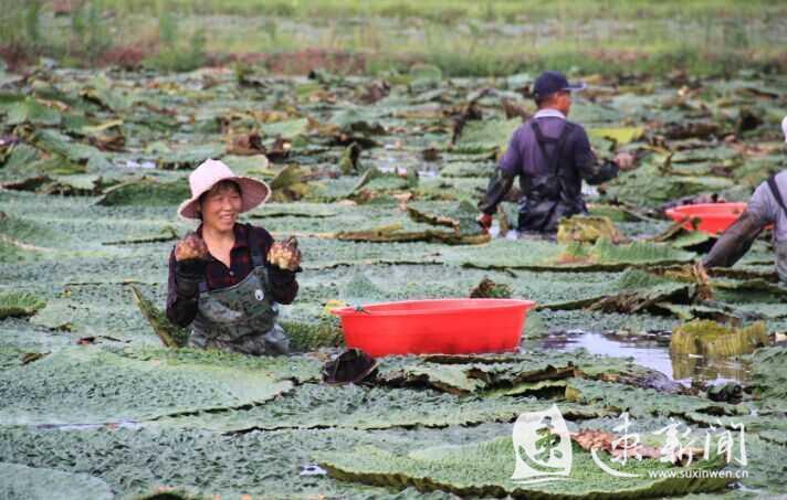 泗洪城市发展与民生改善同步推进的最新消息