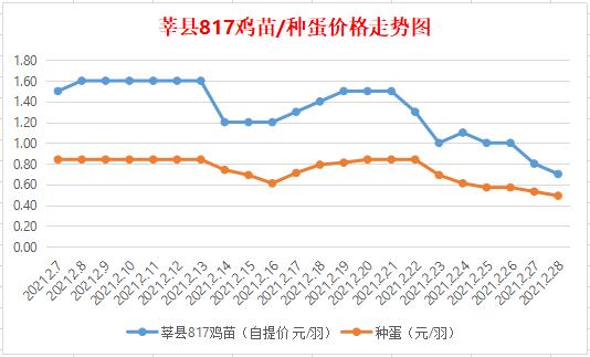 今日鸡苗价格更新，深度解析817鸡苗市场走势