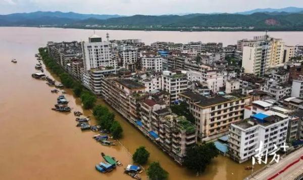 肇庆洪水来袭，城市挑战与民众团结应对最新消息