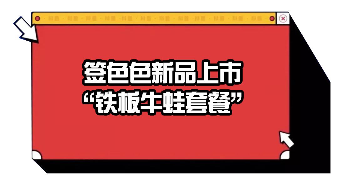 莱芜维达纸业最新招聘信息详解