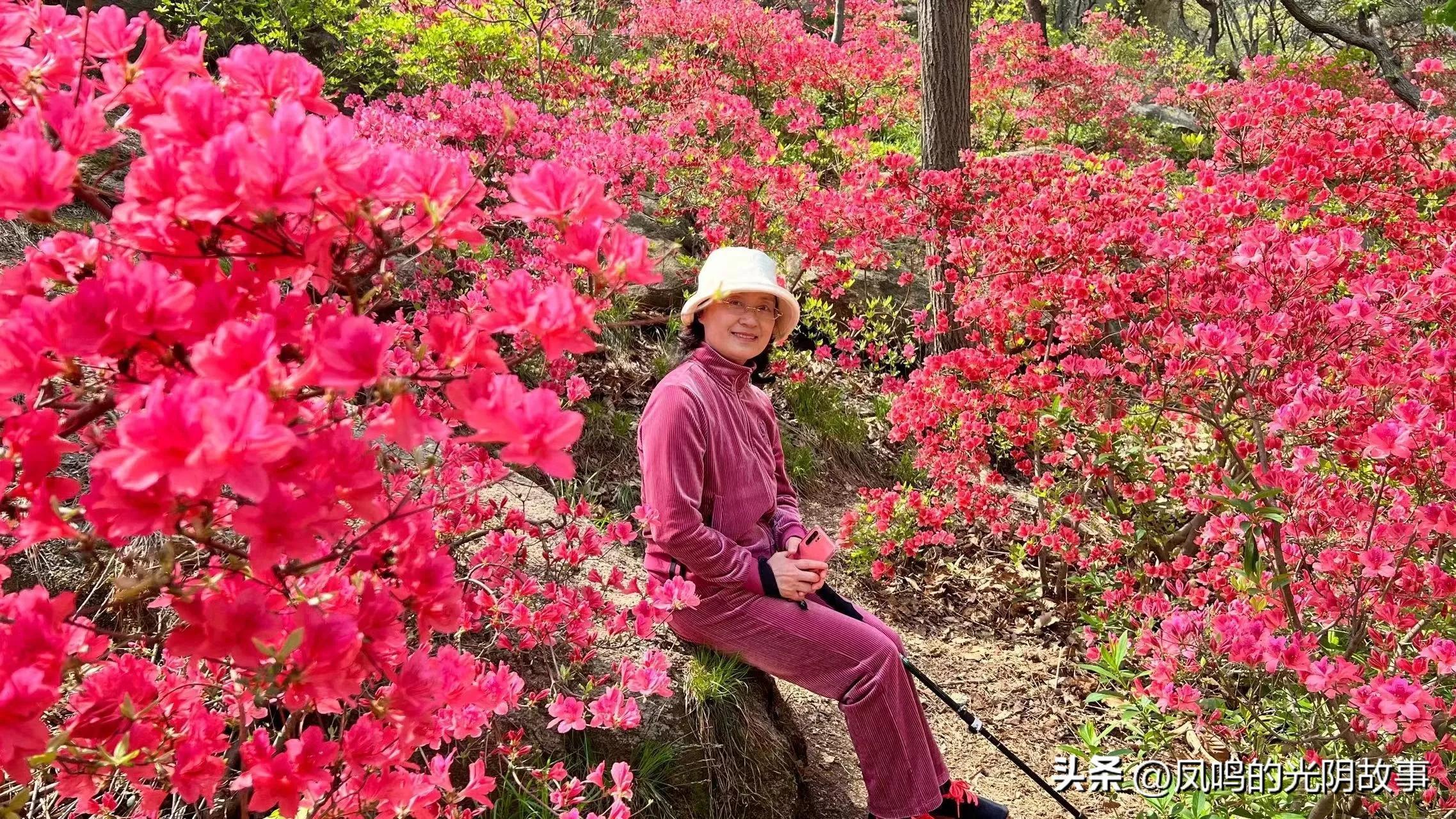 珠山秀谷御墅最新动态，未来人居新篇章揭晓