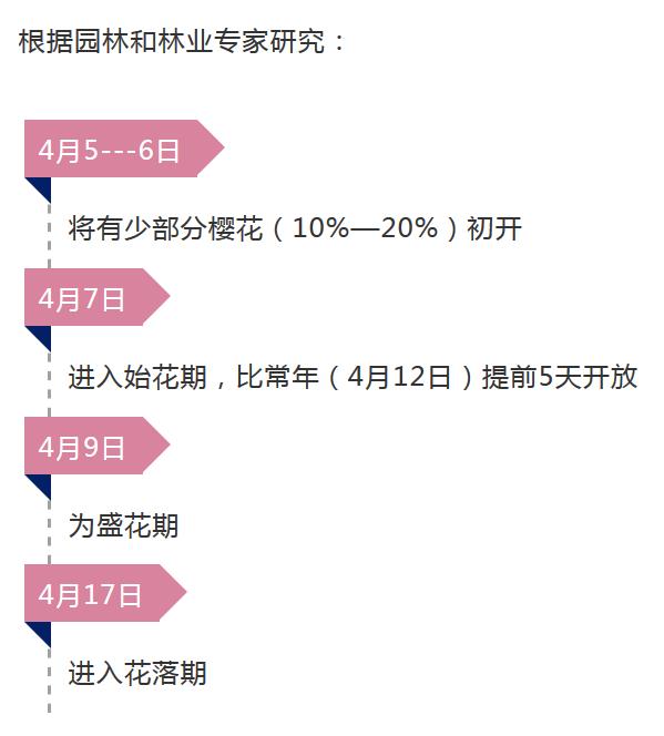 樱花园重塑城市绿色生态的契机与挑战，最新置换消息解析