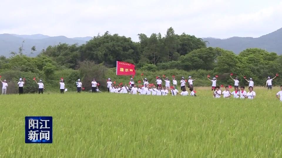 阳东县教育局最新动态报道