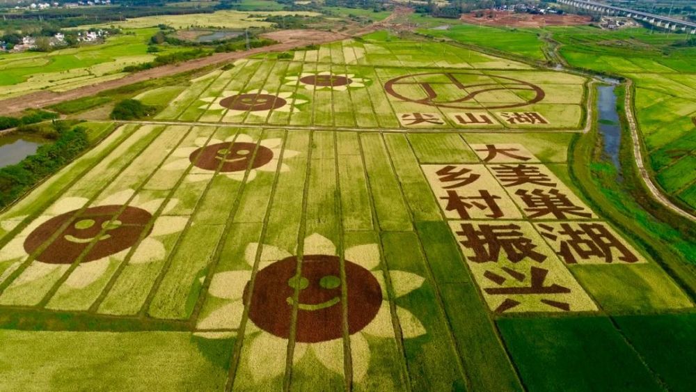 湖岗乡新项目，引领乡村发展的强大动力源泉