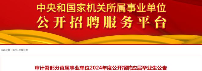 青冈县审计局最新招聘信息详解与招聘细节分析