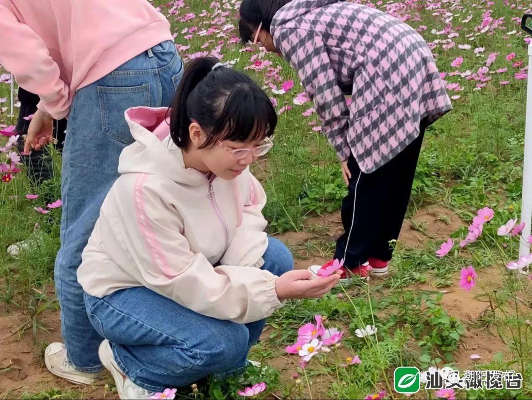 潮阳区小学最新项目，开启现代教育新篇章探索