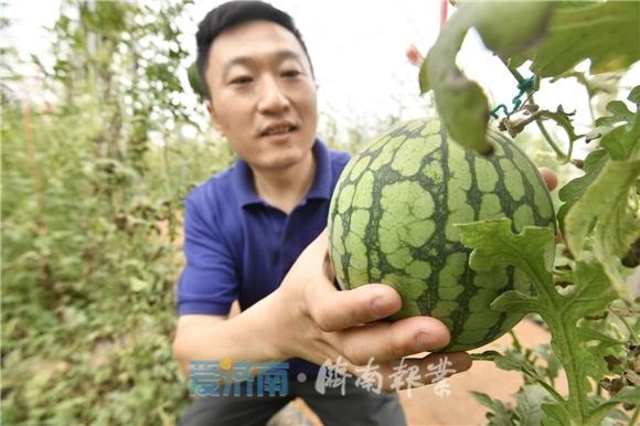 仁风镇交通发展日新月异，助力地方经济腾飞新动态