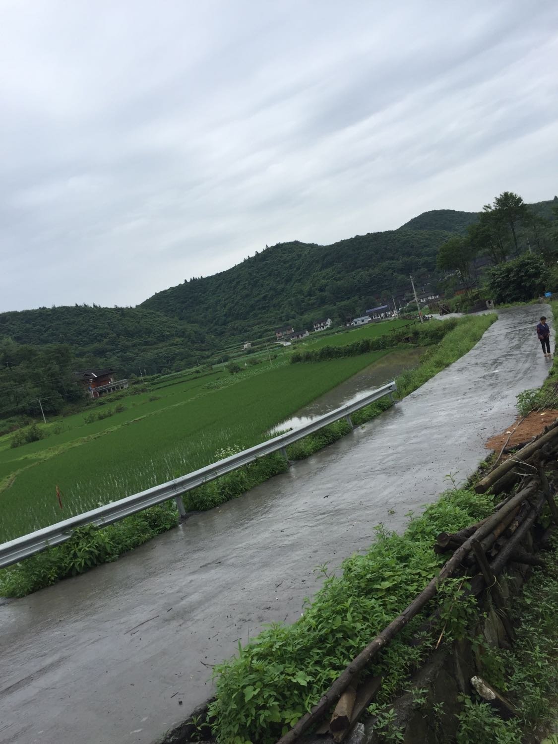 坪城乡天气预报更新通知