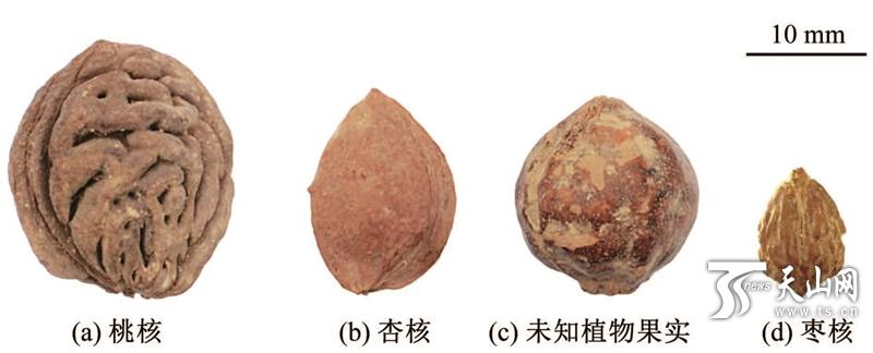 吐鲁番地区市社会科学院领导团队引领科研创新与发展新篇章