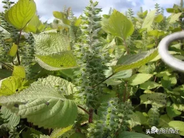 永青经营所最新动态，探索前沿，开启新篇章