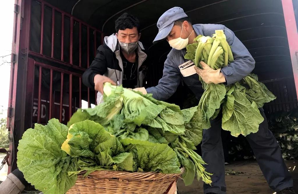 双河乡交通升级与完善设施，引领乡村发展新征程