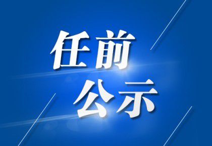 龙潭彝族傣族乡领导新团队，引领发展的强大力量