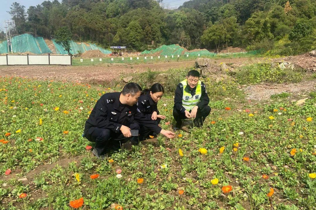 运河区康复事业单位推动康复服务发展，助力健康城市建设最新报道