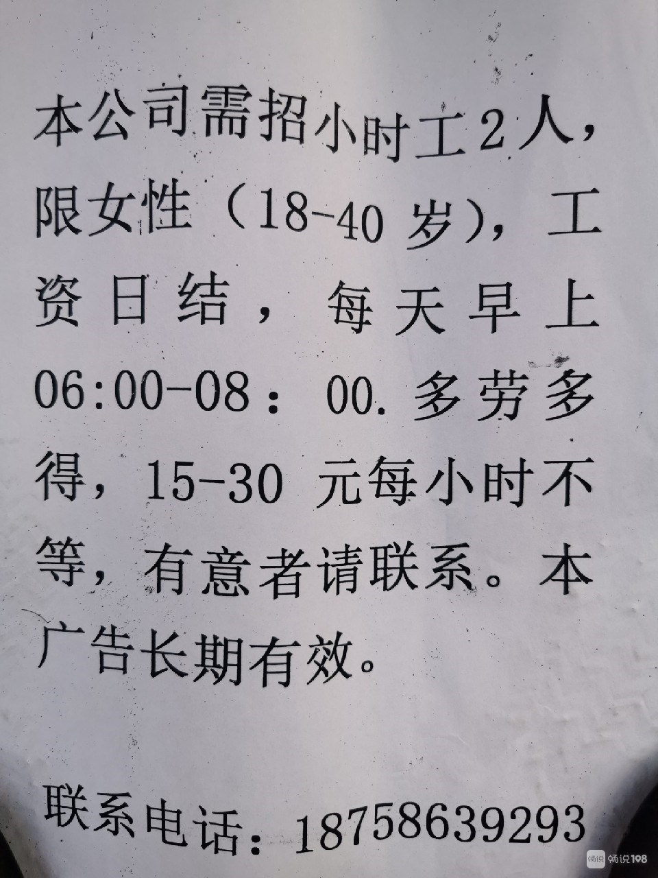 汀田最新招聘信息全面解析