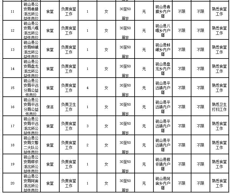 皮山县公安局招聘公告，最新职位信息及要求