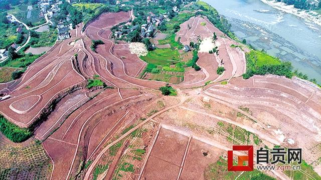 庙坝镇新项目，引领地方发展的强大动力源泉