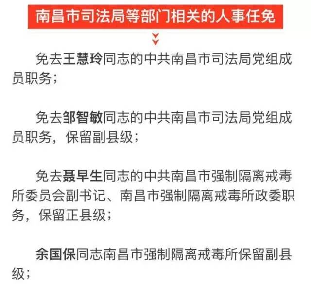 襄城区科技局人事任命动态解析及最新人事调整